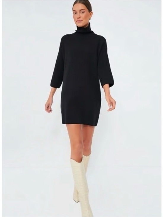 Pomander Place Dresses & Skirts - POMANDER PLACE • Vivianne Black Turtleneck Sweater Dress - Medium Tuckernuck